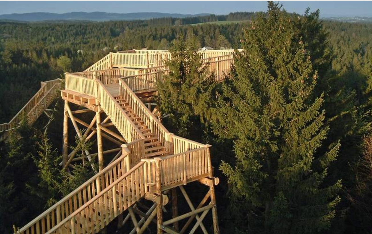 Hotel Weiss***s Ausflugsziele Baumkronenweg Kopfing