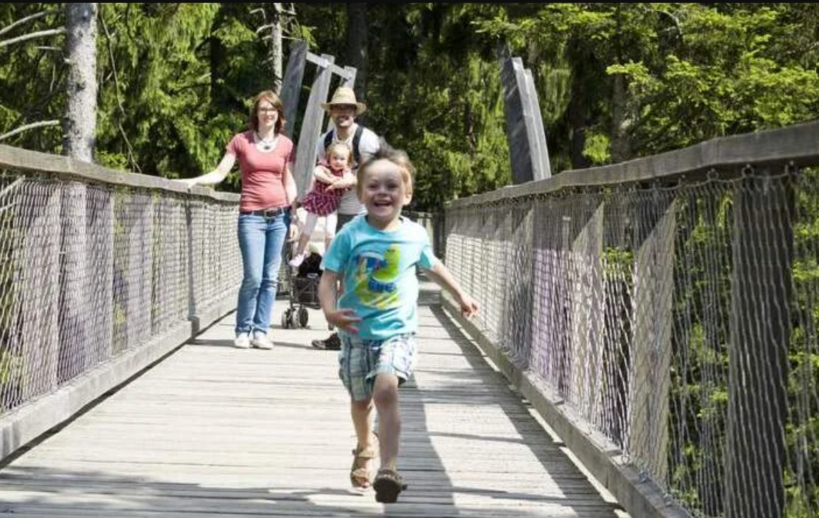 Hotel Weiss***s Ausflugsziele Baumwipfelpfad Bayrischer Wald