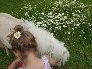 Kinderhotel: Mini Pony Luna - Pony Carlo war unterwegs - Sport & Familienhotel Bärenwirt