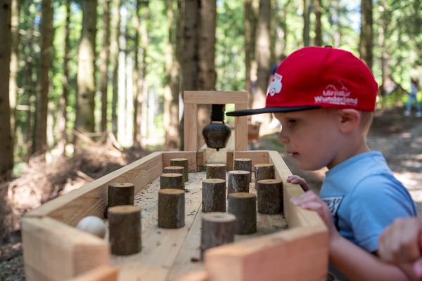 Familienhotel - St. Valentin-Landschach - Faszination Wald mit Waldkugelbahn - Familienhotel Berger ***superior