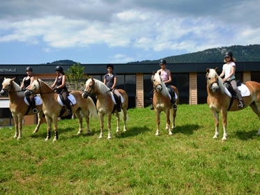 Kinderhotel: Peternhof Haflinger  - Wohlfühlresort Peternhof