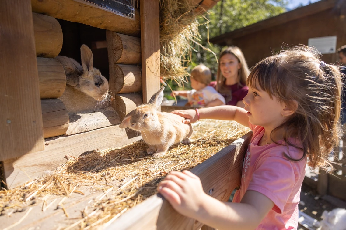 Kinderhotel: Streichelzoo - Galtenberg Family & Wellness Resort