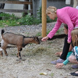 Kinderhotel: Ziegen im Streichelzoo - Ferienhotel Gut Enghagen