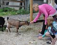 Kinderhotel: Ziegen im Streichelzoo - Ferienhotel Gut Enghagen