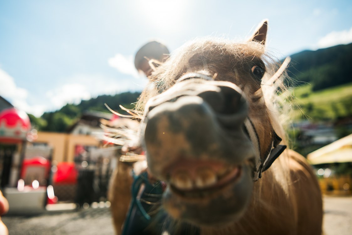 Kinderhotel: Pony reiten im Sommer an 6 Tagen/Woche - Kinderhotel Laderhof