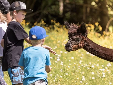 Kinderhotel: Waldhof Tiere - Ebner's Waldhof am See