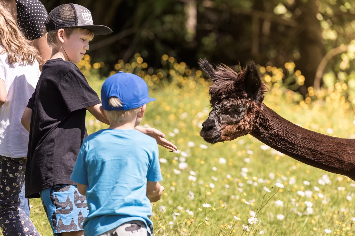 Kinderhotel: Waldhof Tiere - Ebner's Waldhof am See