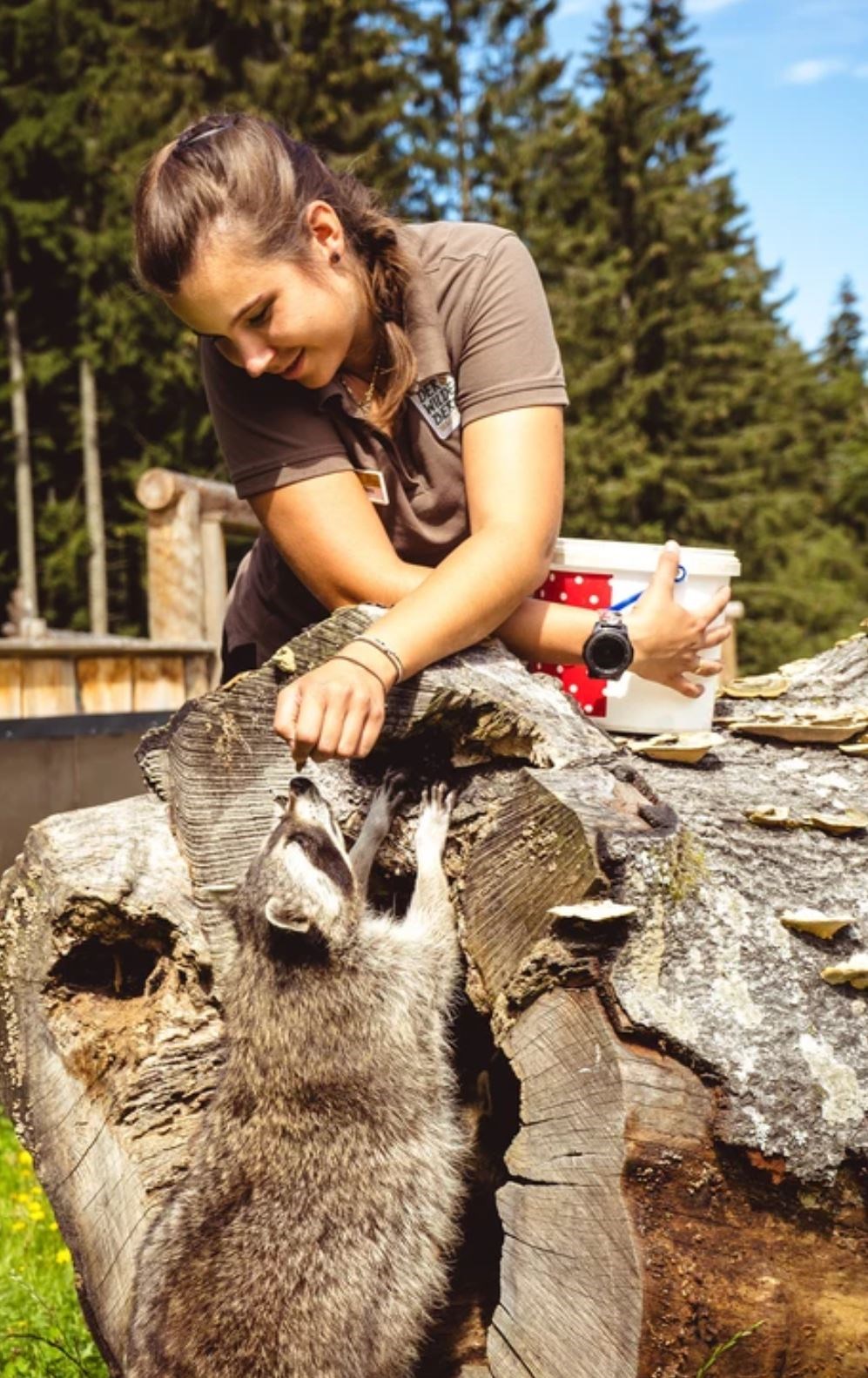 Bliems Familienhotel**** Schladming Ausflugsziele Der Wilde Berg - Mautern - GRATIS mit der Sommercard