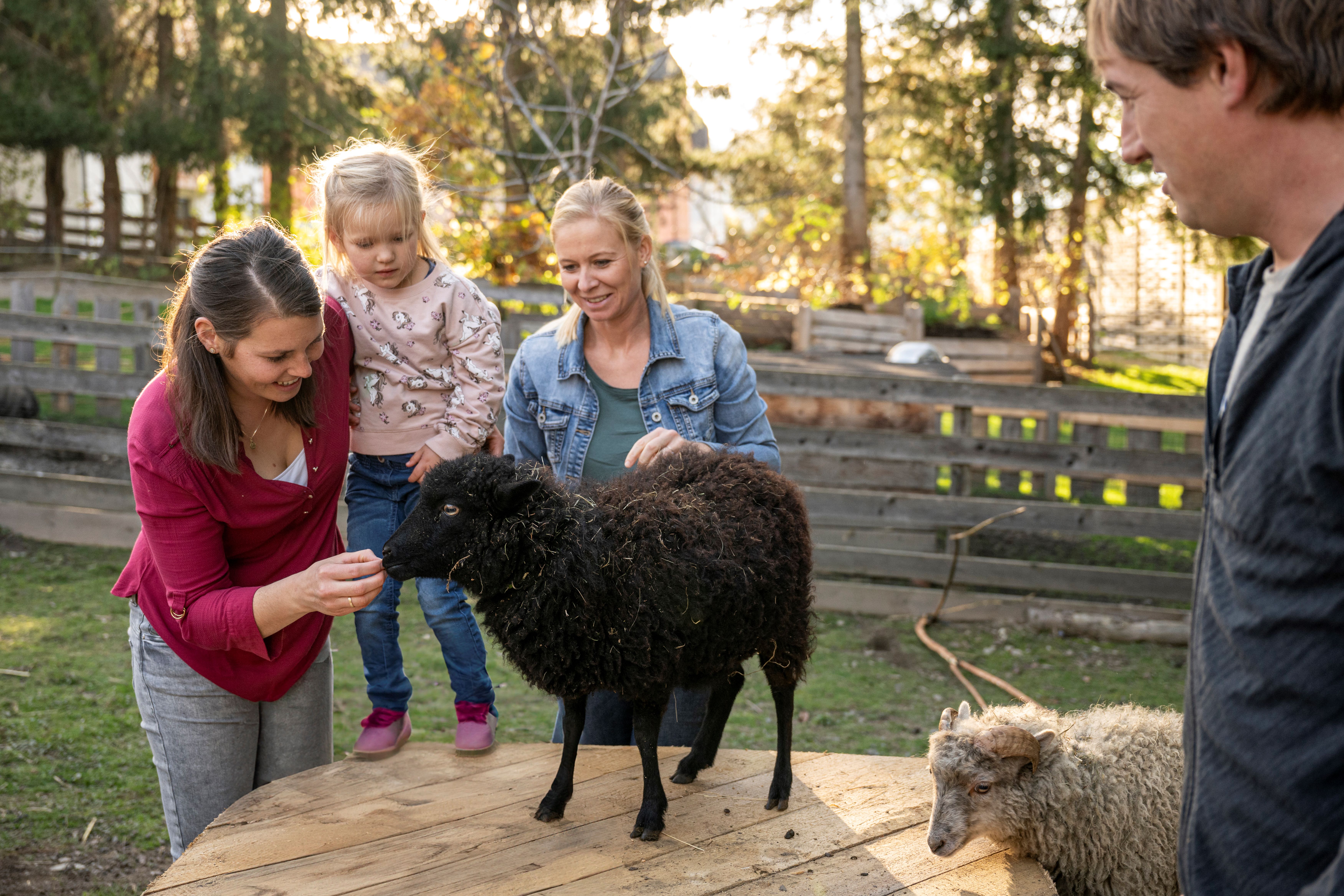 Kinderhotel: Streichelzoo "Bliem-Ranch" - Bliems Familienhotel**** Schladming