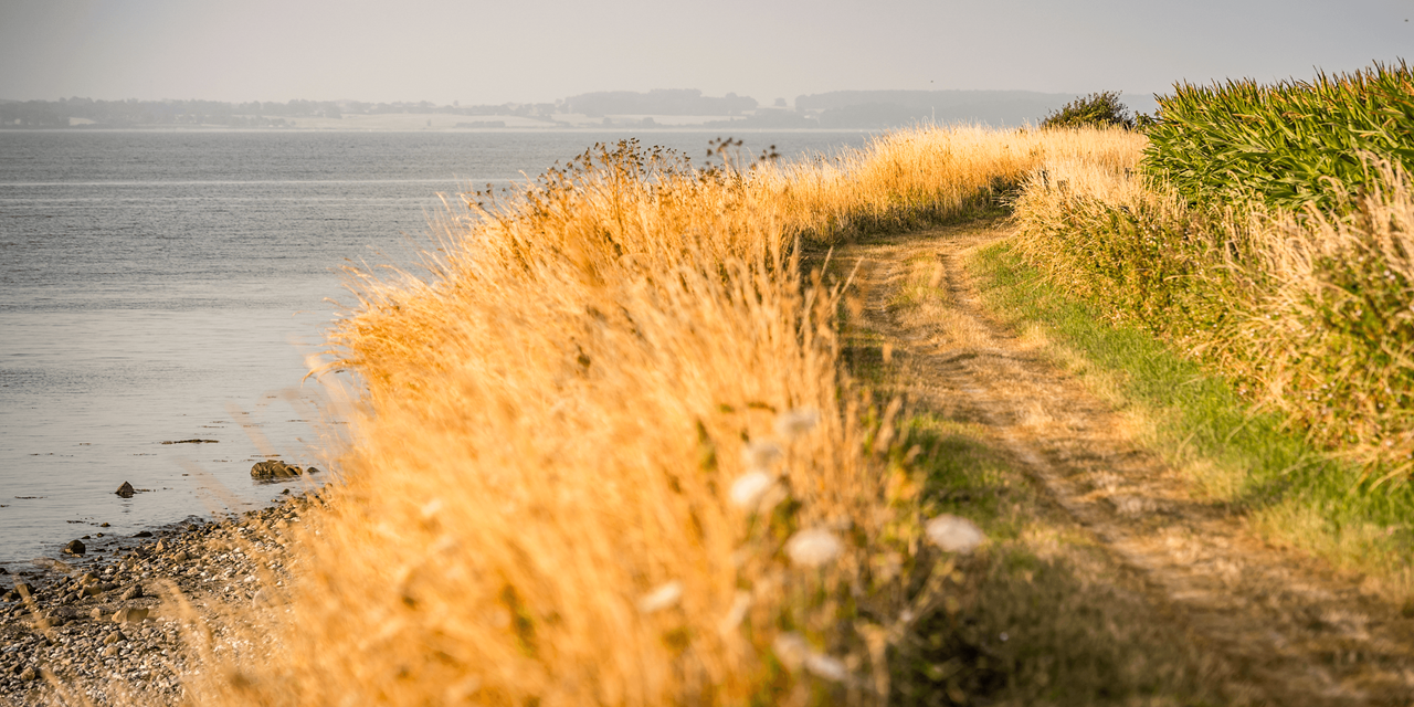 Damp Ostsee Resort & Ferienpark Ausflugsziele Fahrradtour am Naturstrand