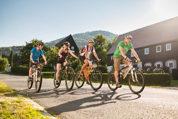 Kinderhotel: Fahrradtour - mit Fahrrädern, die direkt vor Ort im Aktivpunkt gemietet werden können - Trixi Ferienpark Zittauer Gebirge
