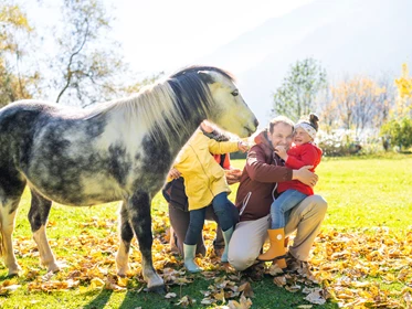 Kinderhotel: Familien- & Sportresort Brennseehof