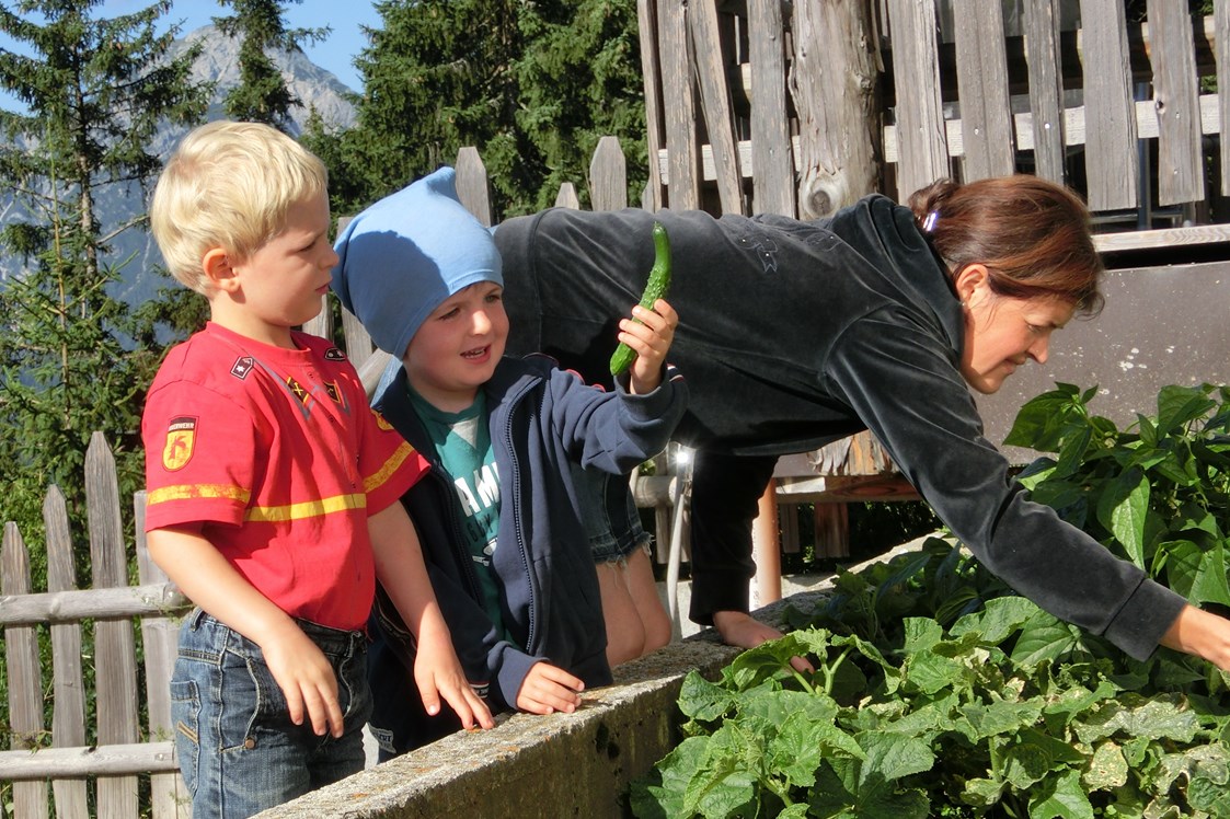 Kinderhotel: Ernte im Gemüsegarten - Glinzhof