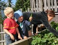 Kinderhotel: Ernte im Gemüsegarten - Glinzhof