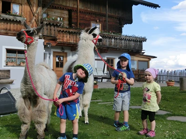 Kinderhotel: Lamas am Glinzhof - Glinzhof