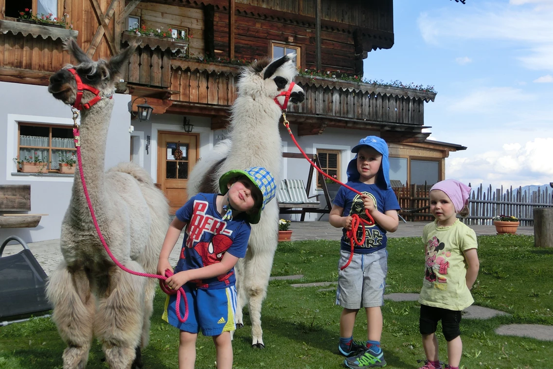 Kinderhotel: Lamas am Glinzhof - Glinzhof