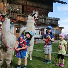 Kinderhotel: Lamas am Glinzhof - Glinzhof