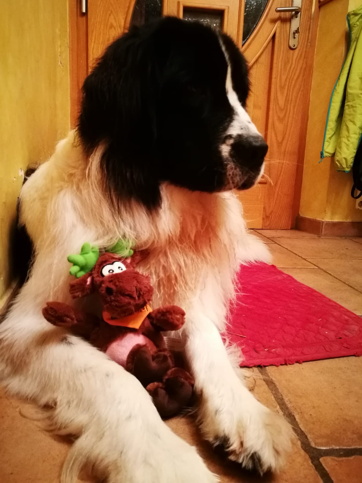 Kinderhotel: nawu_apartments_Winterurlaub_Familienurlaub_Urlaub_mit_Hund - nawu apartments & Restaurant