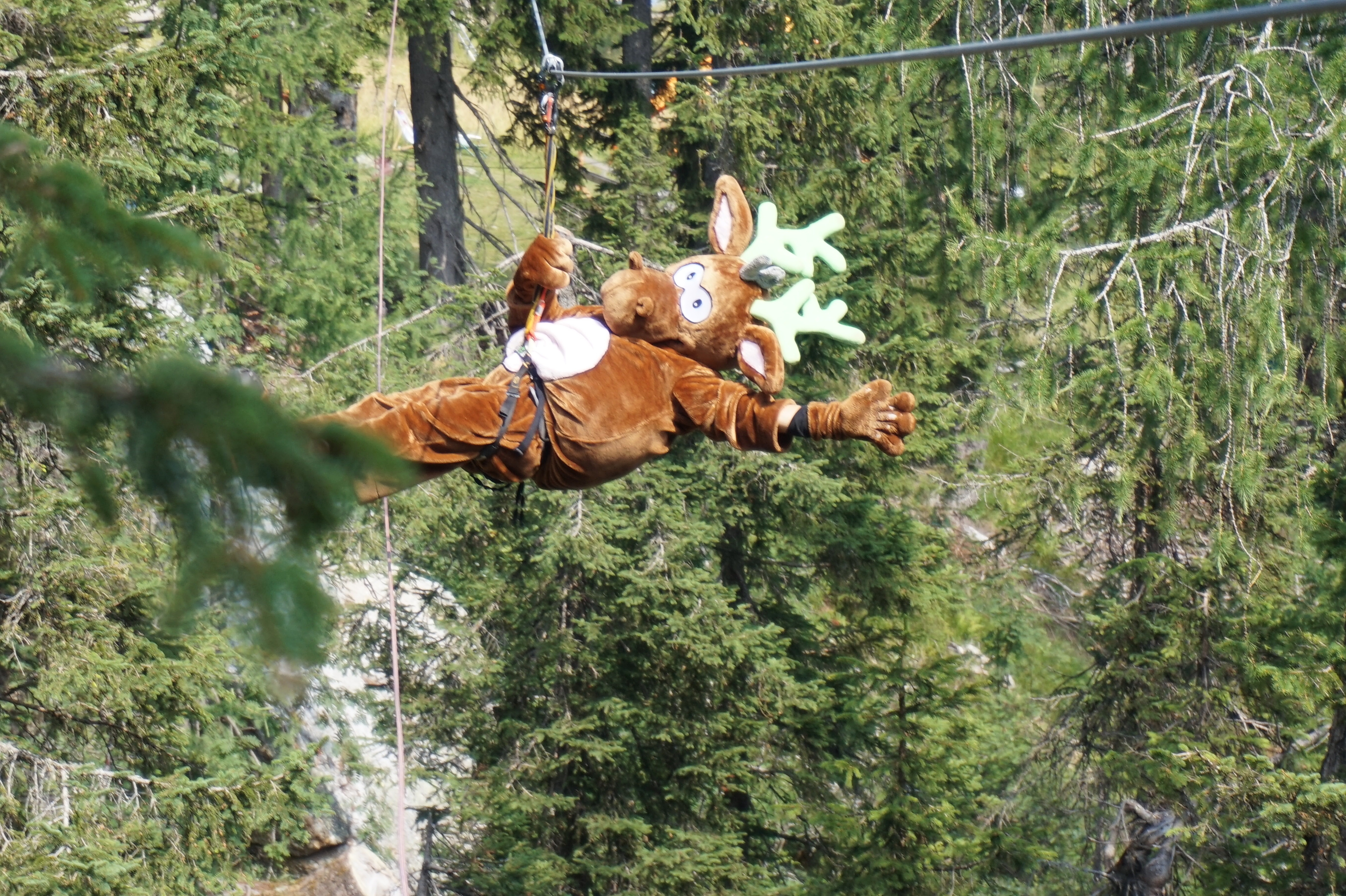 nawu apartments & Restaurant Ausflugsziele Kinderparcour Kletterpark 