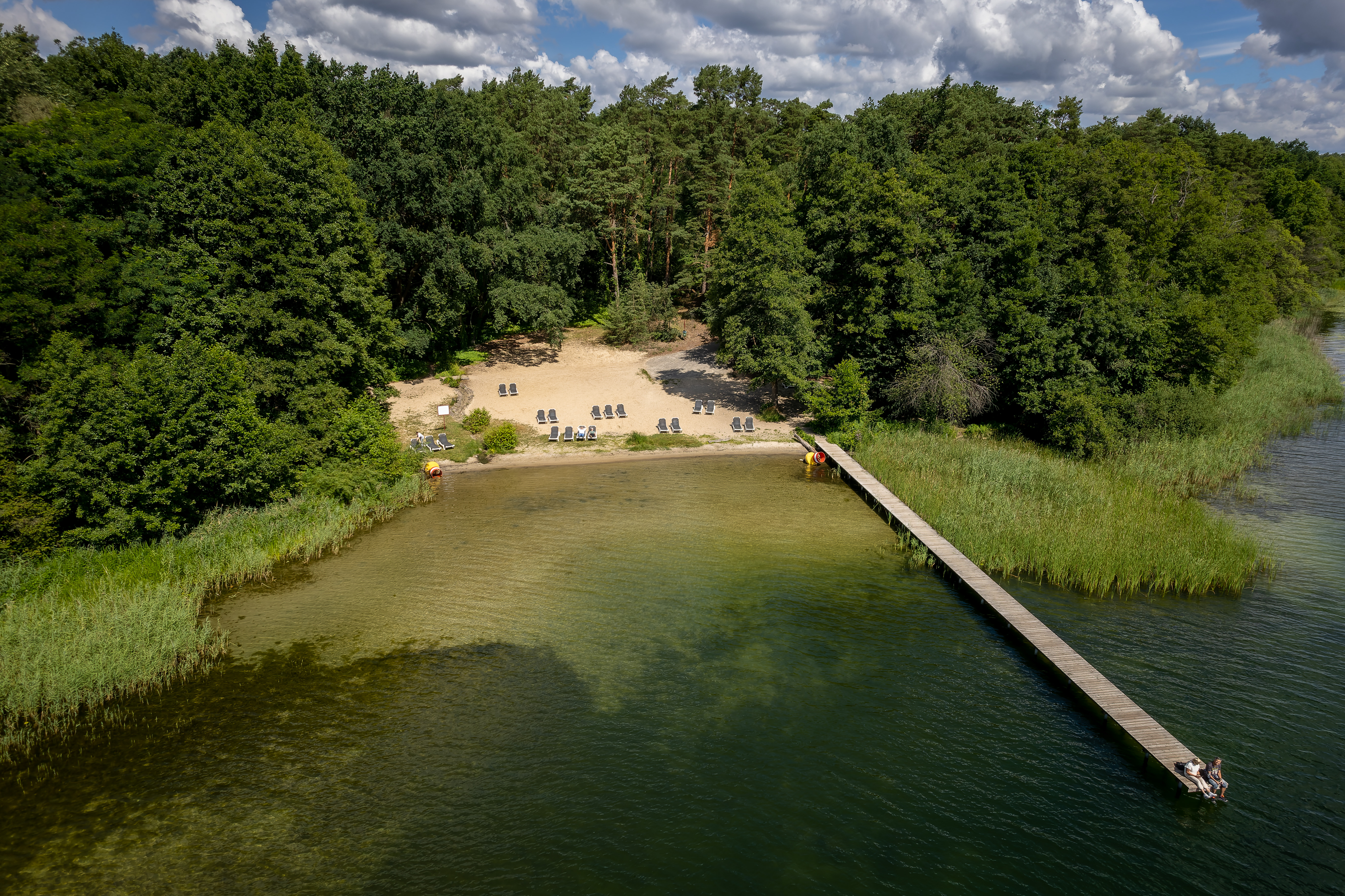 Kinderhotel: Precise Resort Bad Saarow am Scharmützelsee - Hotel | Umgebung, Wasser | Wellness