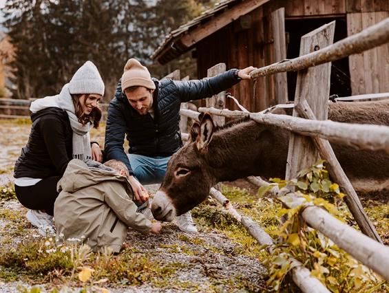 Kinderhotel: 
Über ritterliche Abenteuer, Spiel und Spaß

Kinderträume werden wahr - Wie Prinz und Prinzessin werden die kleinen bei uns verwöhnt. Ganz ungezwungen können sie sich in der Naturspielwiese, dem Schlössl-Hof, der Ritterstube, im Burgverlies und im Schlössl-Graben austoben. Ganz beliebt ist auch der Streichelzoo mit vielen Kleintieren zum Streicheln und Knuddeln.
 - Hotel Bergschlössl