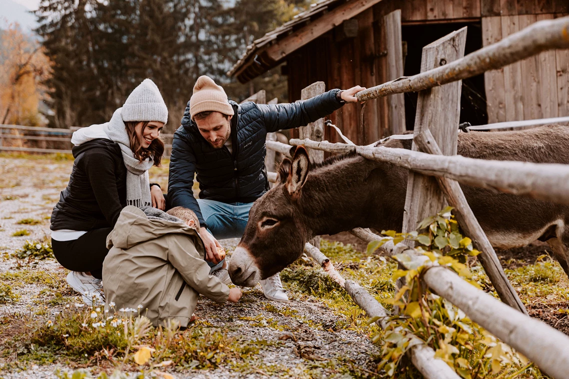 Kinderhotel: 
Über ritterliche Abenteuer, Spiel und Spaß

Kinderträume werden wahr - Wie Prinz und Prinzessin werden die kleinen bei uns verwöhnt. Ganz ungezwungen können sie sich in der Naturspielwiese, dem Schlössl-Hof, der Ritterstube, im Burgverlies und im Schlössl-Graben austoben. Ganz beliebt ist auch der Streichelzoo mit vielen Kleintieren zum Streicheln und Knuddeln.
 - Hotel Bergschlössl