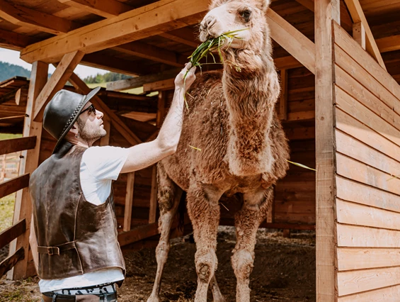 Kinderhotel: Unser "kleiner" Babar, das Dromedar ist Kinderlieb! Mama Ullis Family Ranch mit über 20 Tieren am Hotelareal. - Hotel Bergschlössl