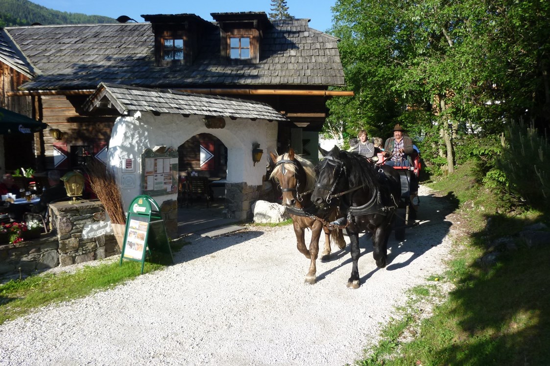 Kinderhotel: Pferdekutschen Erlebnisfahrten mit der ganze Familie - Hotel GUT Trattlerhof & Chalets****