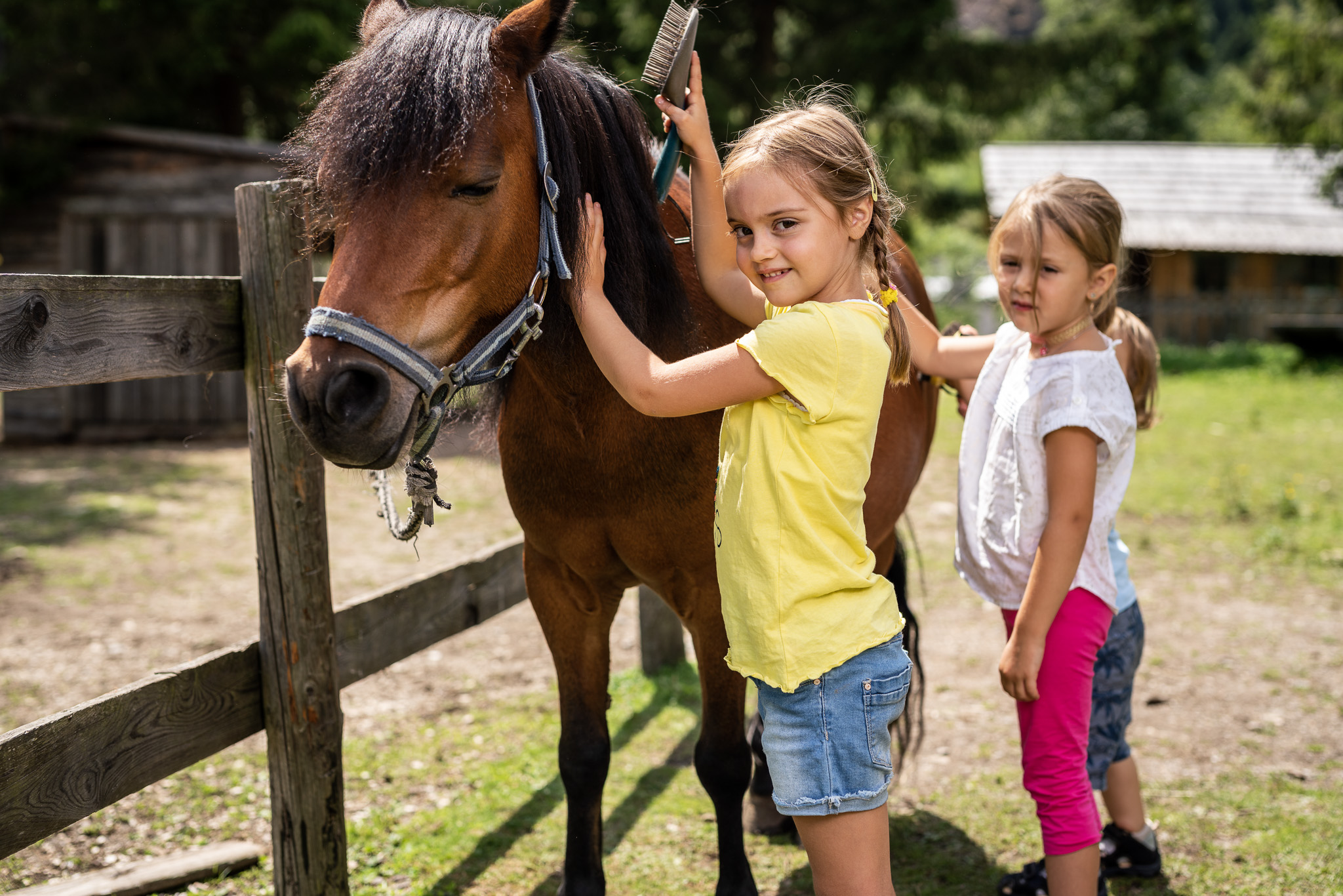 Kinderhotel: Trattlers Ponyfarm - Hotel GUT Trattlerhof & Chalets****S