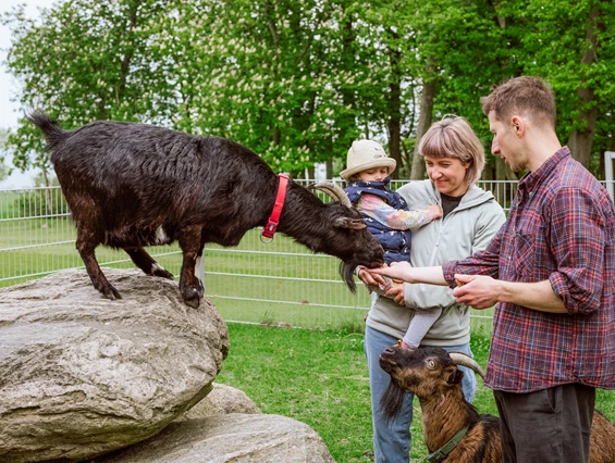 Kinderhotel: Ferienbauernhof Liesenberg 