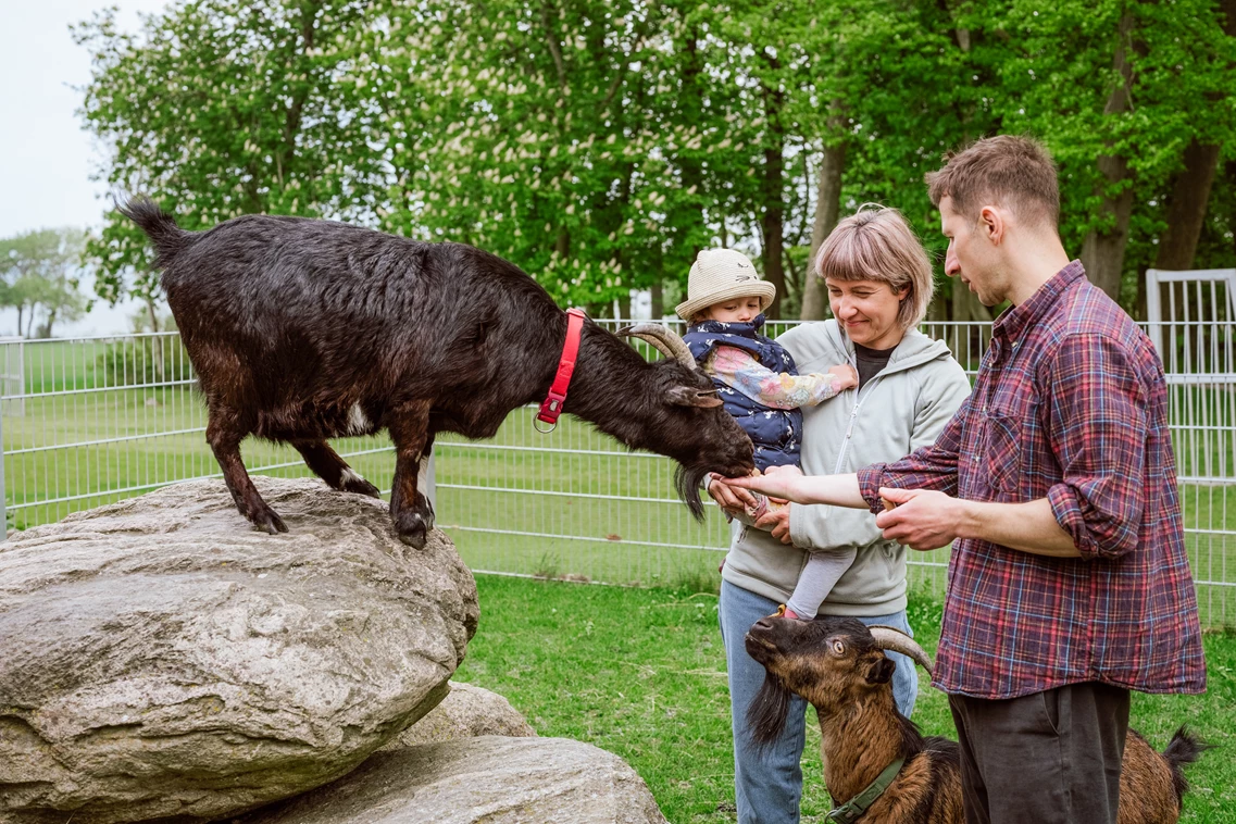 Kinderhotel: Ferienbauernhof Liesenberg 