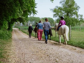 Kinderhotel: Ferienbauernhof Liesenberg 