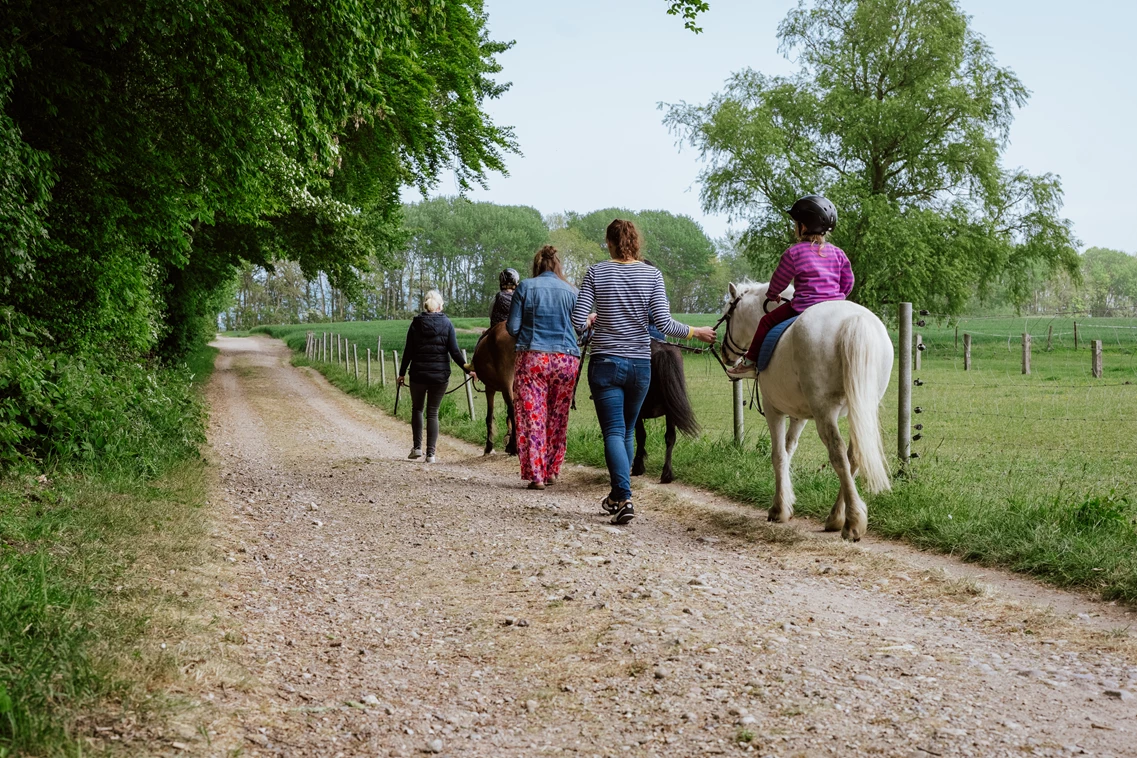 Kinderhotel: Ferienbauernhof Liesenberg 