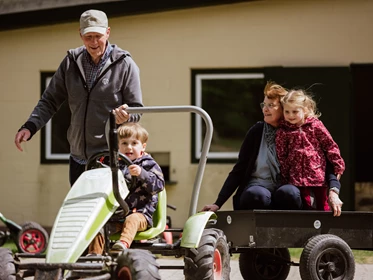 Kinderhotel: Ferienbauernhof Liesenberg 