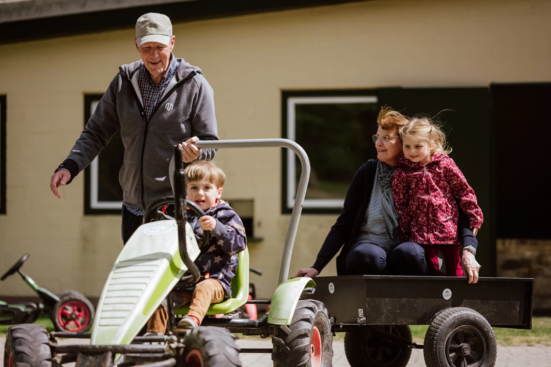 Kinderhotel: Ferienbauernhof Liesenberg 