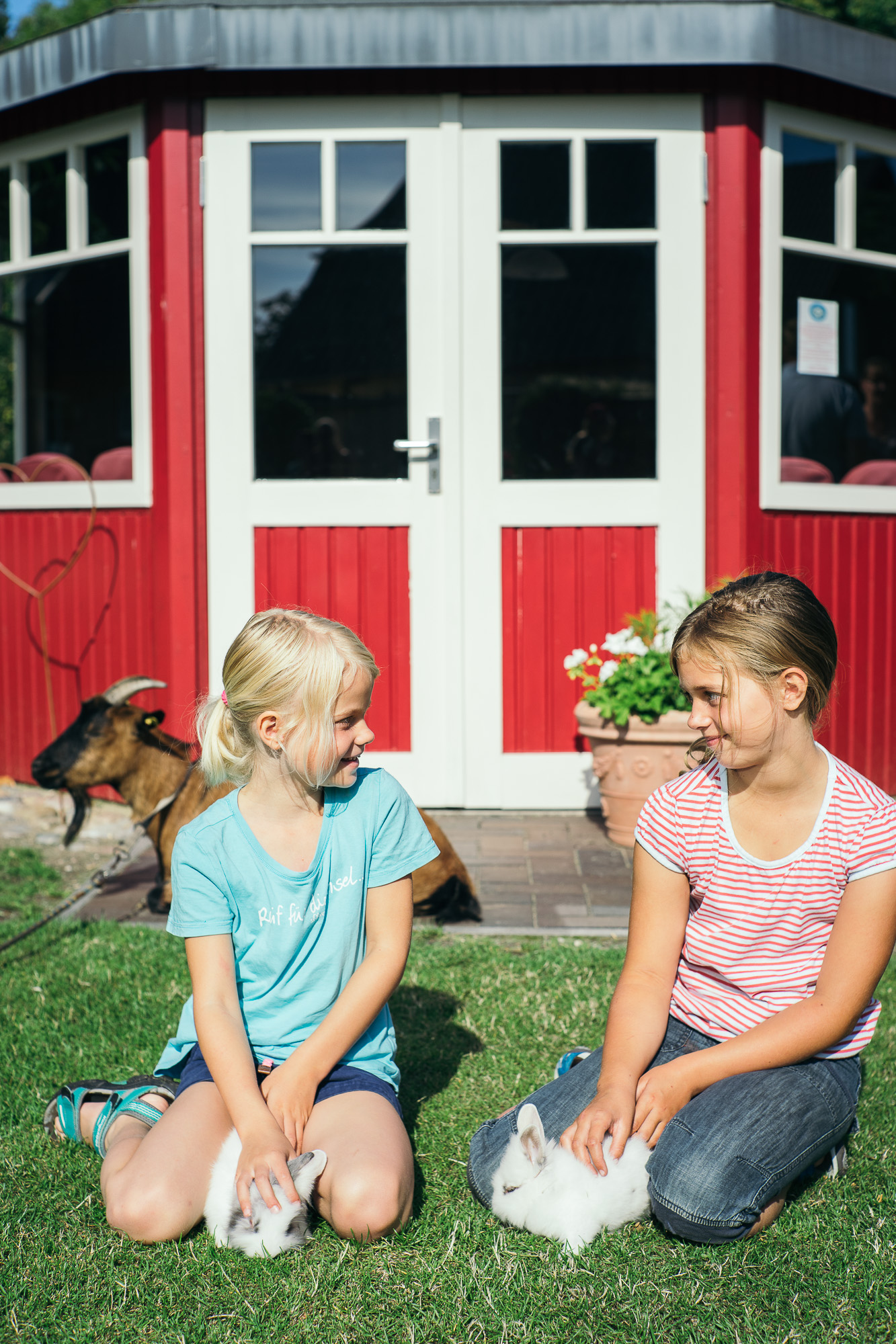 Kinderhotel: Ferienbauernhof Liesenberg 