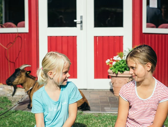 Kinderhotel: Ferienbauernhof Liesenberg 