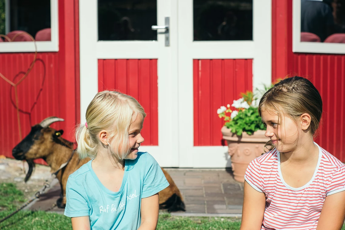 Kinderhotel: Ferienbauernhof Liesenberg 