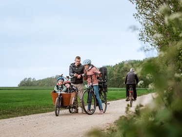 Kinderhotel: Ferienbauernhof Liesenberg 