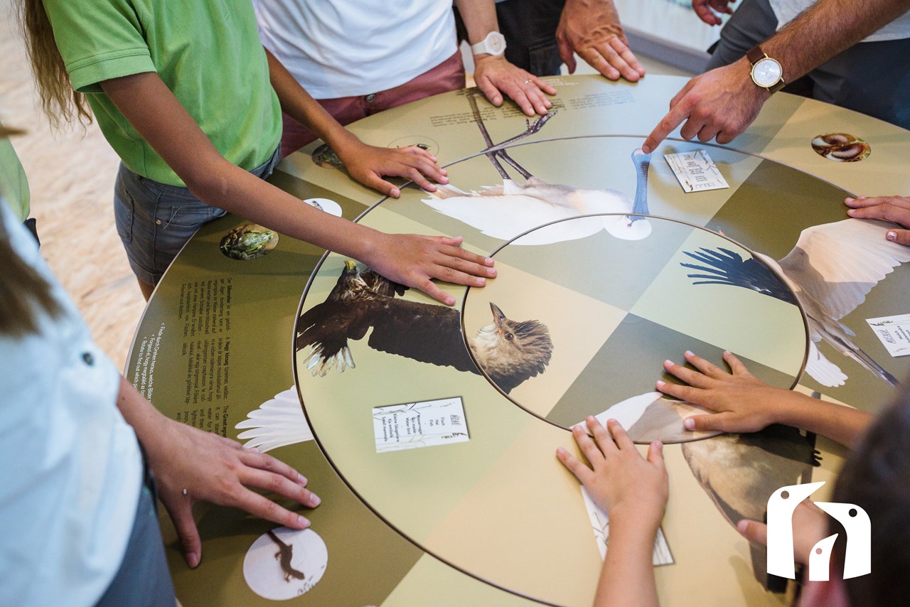 VILA VITA Pannonia Ausflugsziele Nationalpark Neusiedler See - Seewinkel