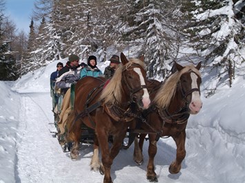 Trattlers Hof-Chalets Ausflugsziele Pferdekutschen Erlebnisfahrten