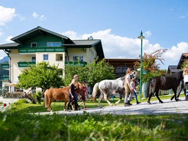 Kinderhotel: Ponys - Wohlfühlresort & Feriengut Martinerhof