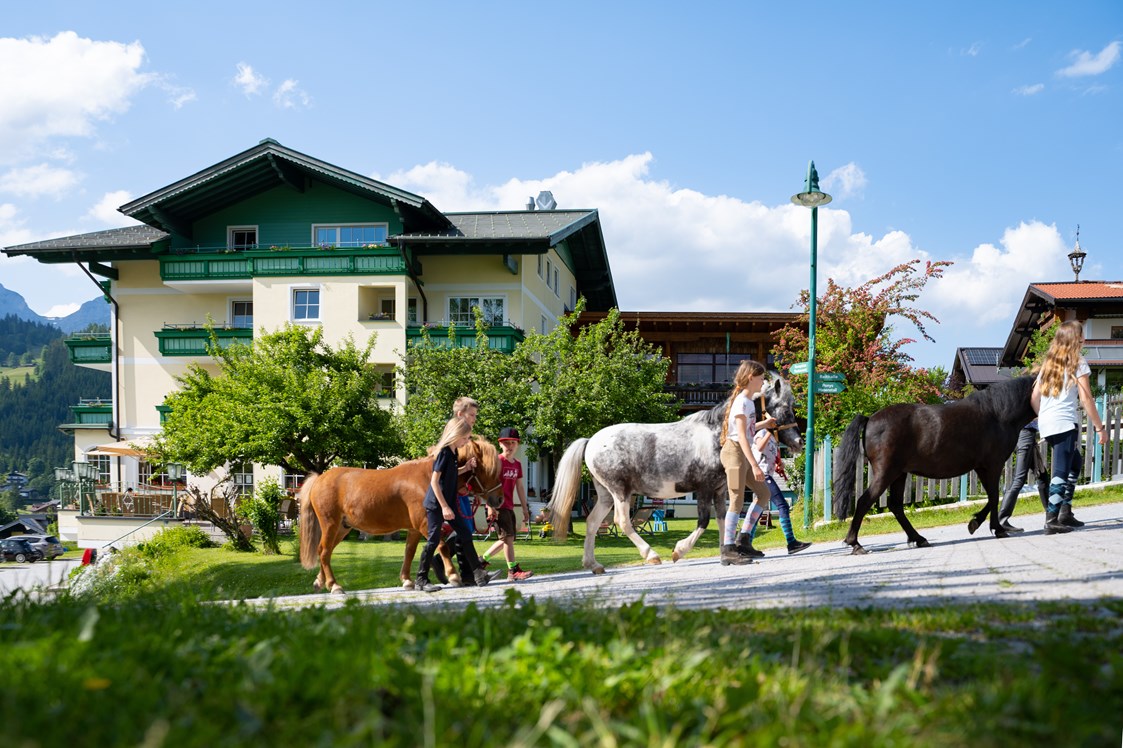 Kinderhotel: Ponys - Wohlfühlresort & Feriengut Martinerhof