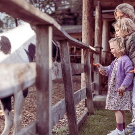 Kinderhotel: Tierfütterungen am Streichelzoo - Alpin Family Resort Seetal