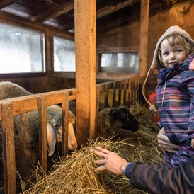 Kinderhotel: Lernen Sie unsere Tiere am Bauernhof kennen... - Alpin Family Resort Seetal