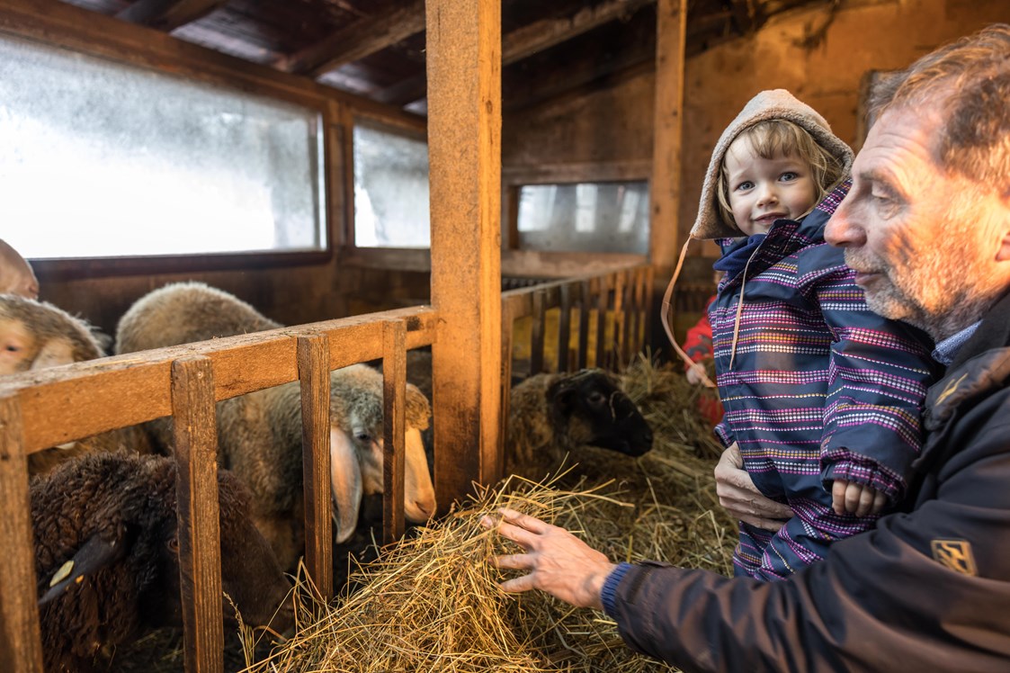 Kinderhotel: Lernen Sie unsere Tiere am Bauernhof kennen... - Alpin Family Resort Seetal