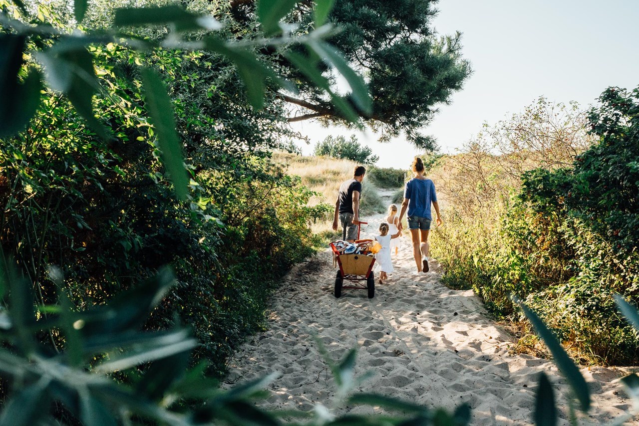 Bernsteinland Hirschburg Ausflugsziele Strandsand zwischen den Zehen gefällig? Ab nach Dierhagen und Neuhaus!