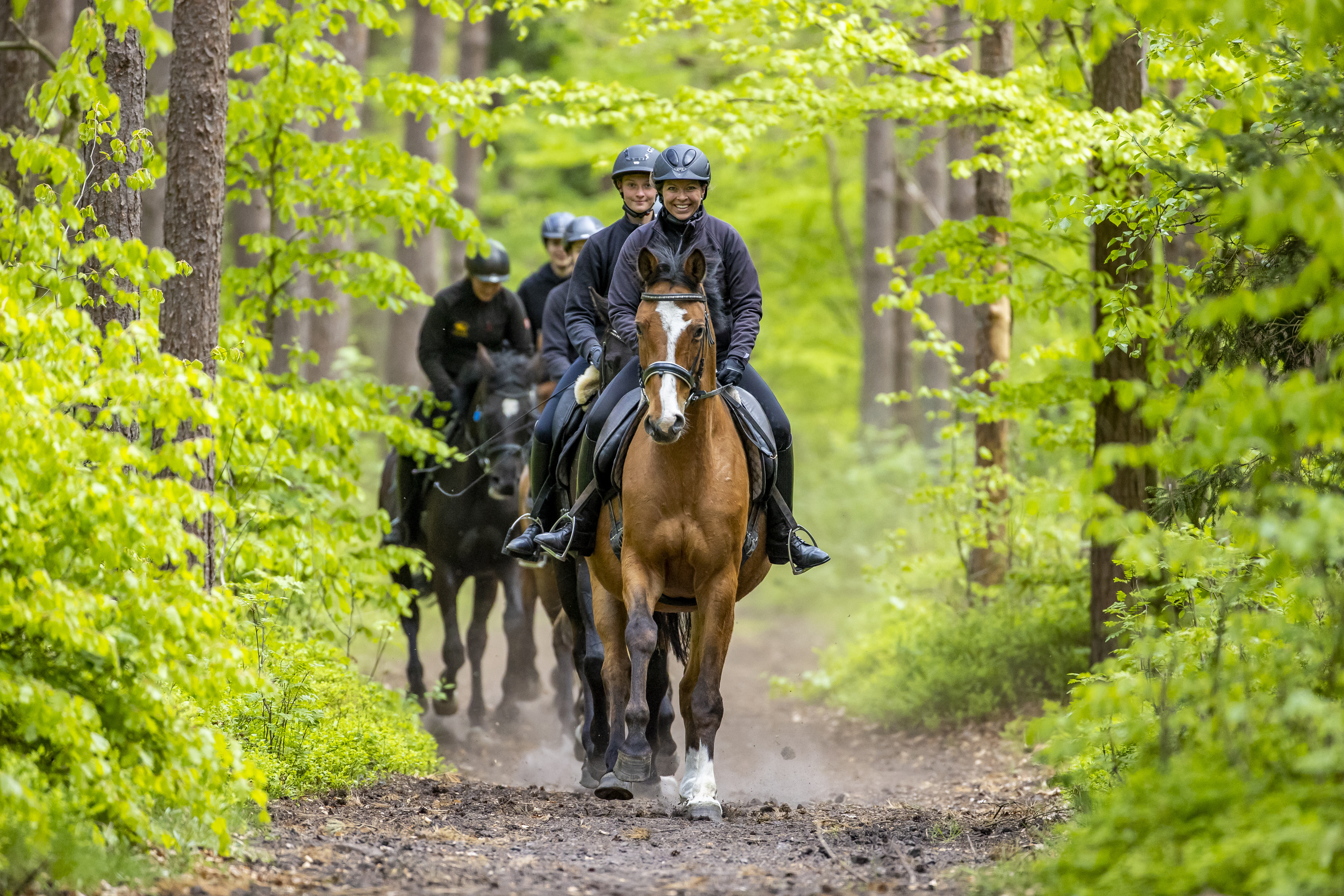 Kinderhotel: Ausritt im Seenland - Bernsteinland Wendorf