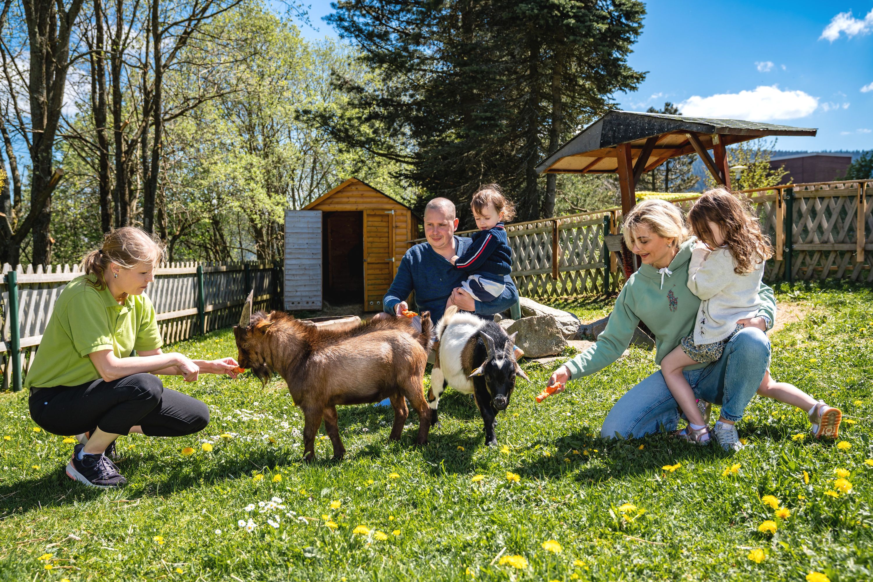 Kinderhotel: Streichelgehege - AHORN Hotel Am Fichtelberg