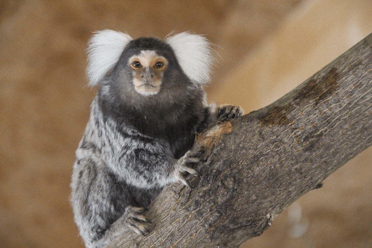 AHORN Waldhotel Altenberg Ausflugsziele Wildpark Osterzgebirge
